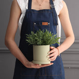 Nordic Colorful Ceramic Cylindrical Shape Flower Pot With Hole Tray