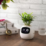 Smart Plant Pot – Ivy AI Planter with 7 Sensors & Facial Expression Display | 5 Colors