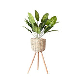 Large woven straw standing planter with a tall leafy plant in a home entryway