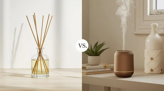 Reed Diffuser vs Oil Diffuser