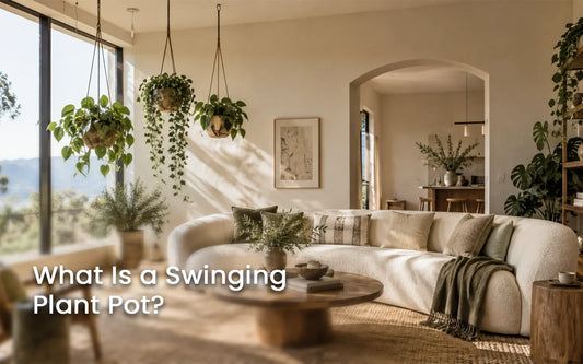 Swinging Plant Pot Ideas for 2026: How to Hang Plants in Any American Home