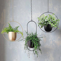 Hanging Iron Flower Pot Nordic Style Simple Creative Hydroponic Plant Potted Decoration Light Luxury Personalized Hanging Orchid