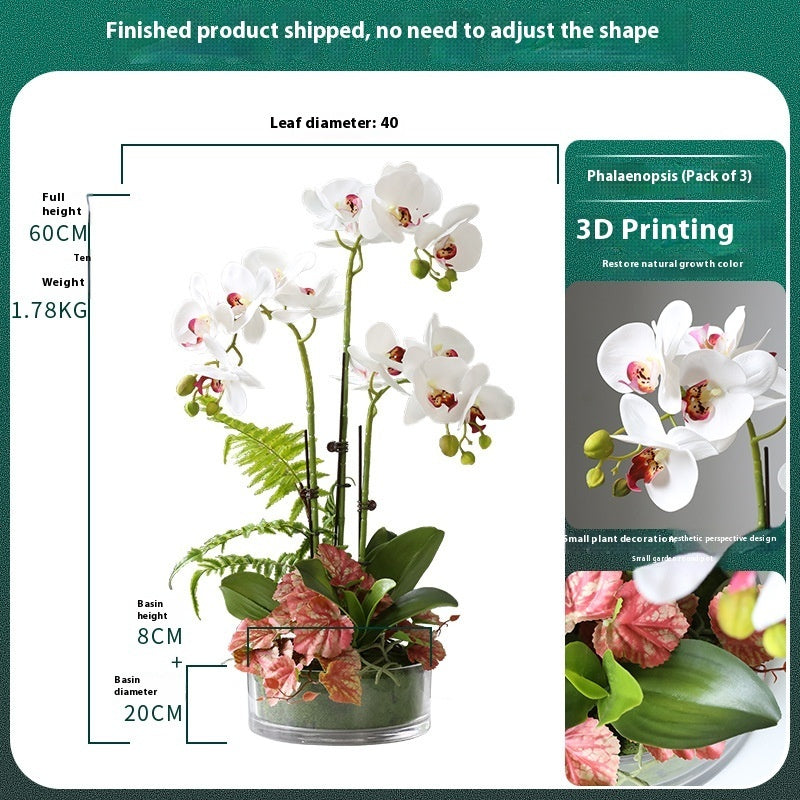 Phalaenopsis Potted Plant Finished Artificial Flower Tabletop Foyer Placement