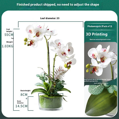 Phalaenopsis Potted Plant Finished Artificial Flower Tabletop Foyer Placement