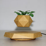Floating Magnetic Levitating Flower Bonsai Air Floating Plant Pot Home Decor
