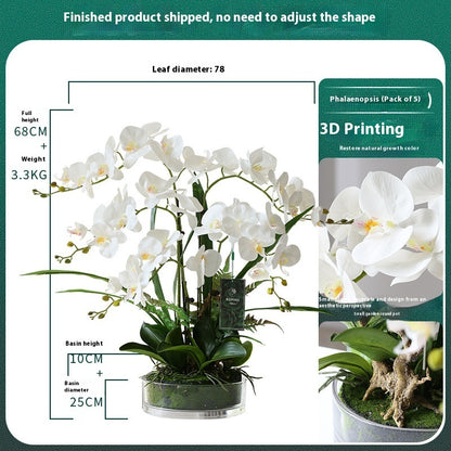 Phalaenopsis Potted Plant Finished Artificial Flower Tabletop Foyer Placement