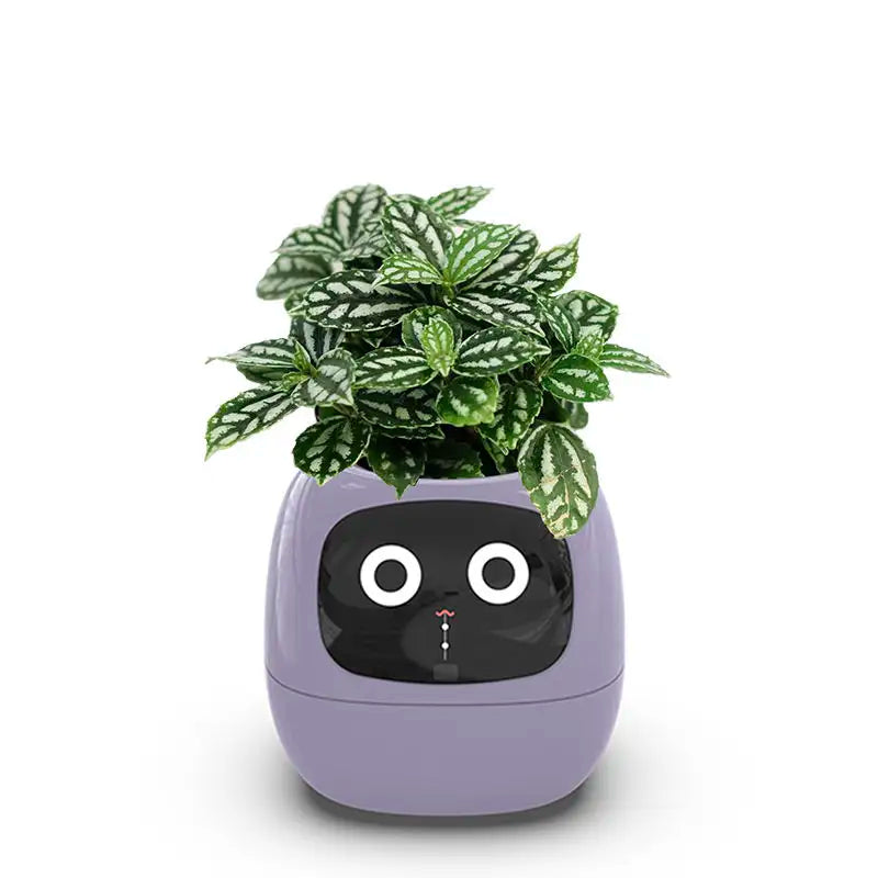 Ivy Smart Planter Endless Fun Over 49 Rich Expressions 7 Smart Sensors And AI Chips Make Raising Plants Easy And Fun