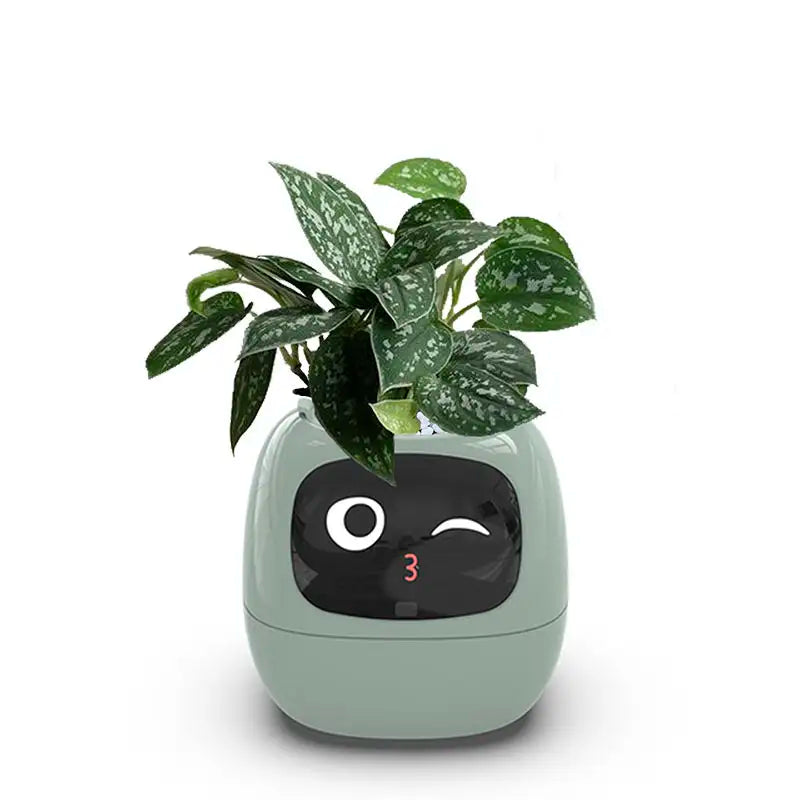 Ivy Smart Planter Endless Fun Over 49 Rich Expressions 7 Smart Sensors And AI Chips Make Raising Plants Easy And Fun