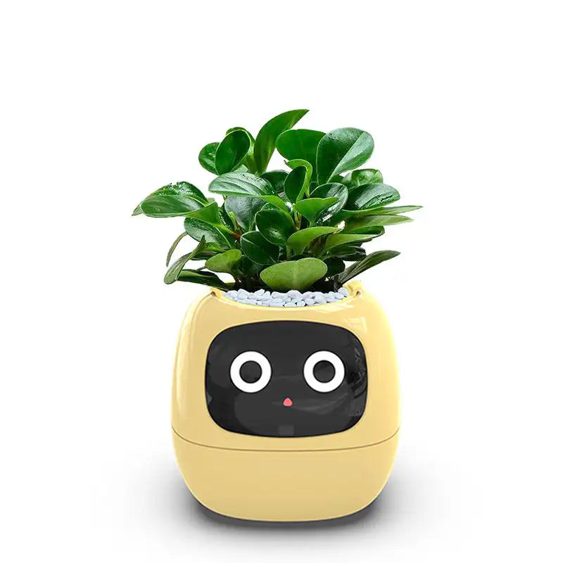 Ivy Smart Planter Endless Fun Over 49 Rich Expressions 7 Smart Sensors And AI Chips Make Raising Plants Easy And Fun