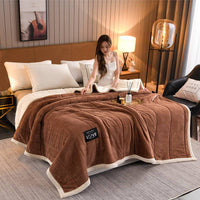 Coral Fleece Blanket Thick Warm Winter Bed Blankets Wool Blanket Bedspread
