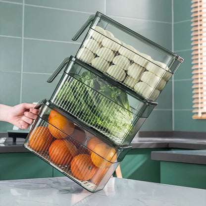 Airtight refrigerator food storage box side view showing secure lid and seal