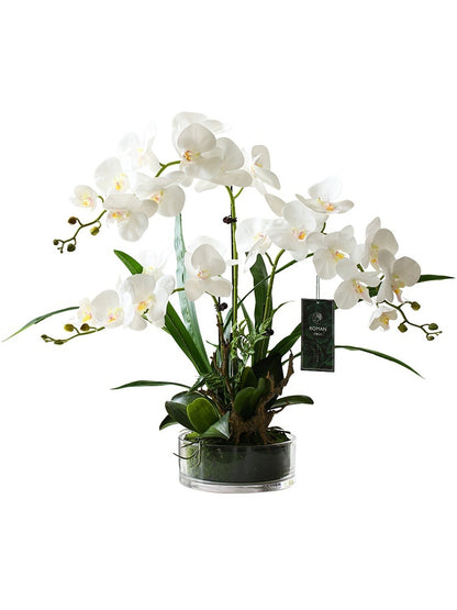 Artificial phalaenopsis orchid potted plant 3 branches green pot display