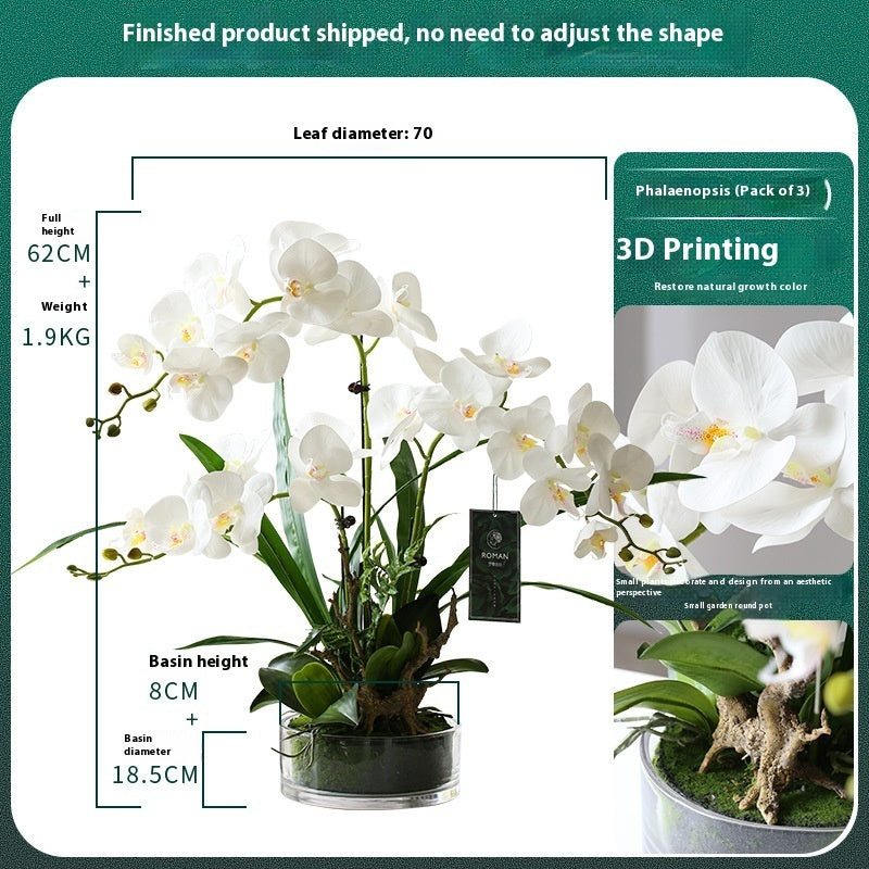 Artificial phalaenopsis orchid potted plant close up leaves and stem detail