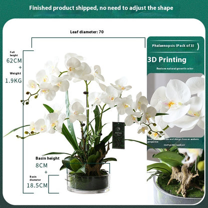 Artificial phalaenopsis orchid potted plant close up leaves and stem detail