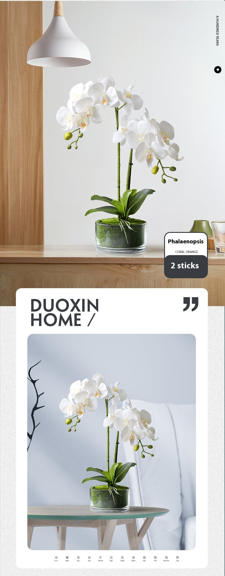 Artificial phalaenopsis orchid potted plant size reference display