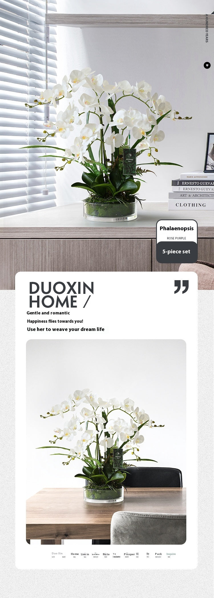 Artificial phalaenopsis orchid potted plant specification sheet display