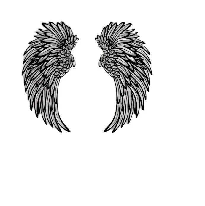 Carved iron angel wings wall decoration black double sided pair