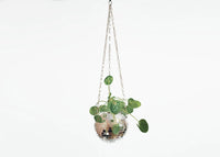 Hanging Mirror Ball Flowerpot Garden Hanging Basket