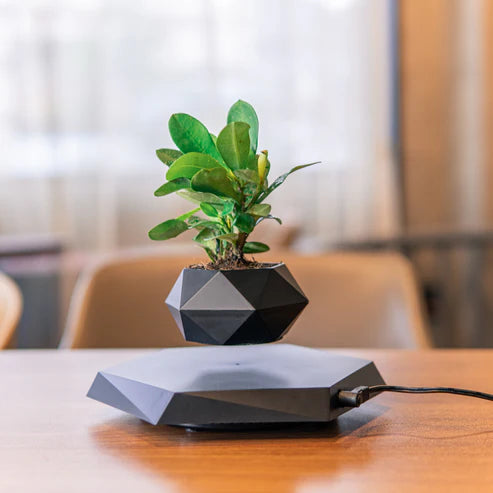 Floating magnetic levitating plant pot on wooden desk setup