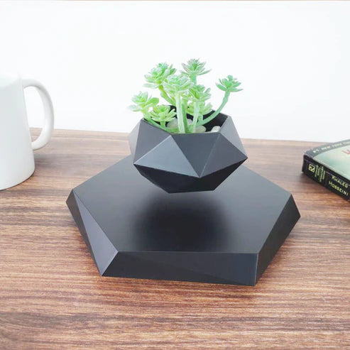 Floating magnetic levitating plant pot with succulents on wooden base