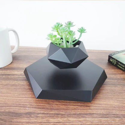 Floating magnetic levitating plant pot with succulents on wooden base