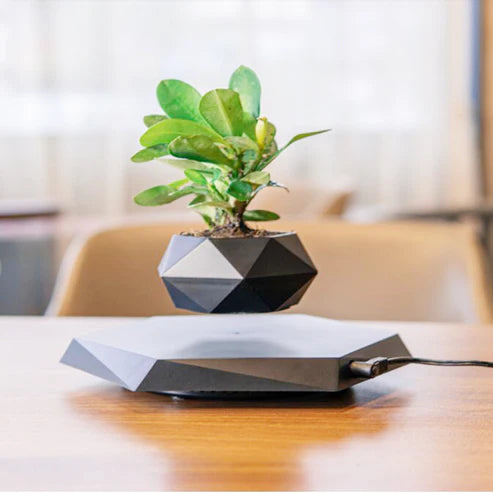 Side view of floating magnetic levitating plant pot base