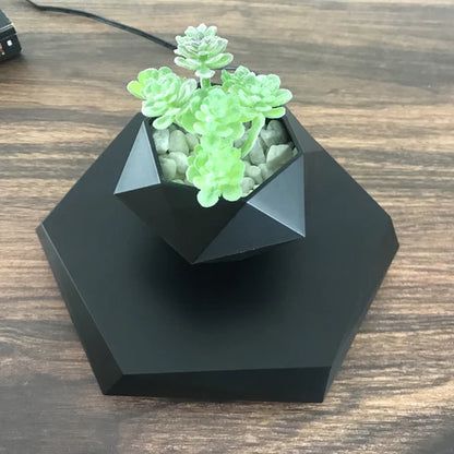 Floating magnetic plant pot holding small green succulent