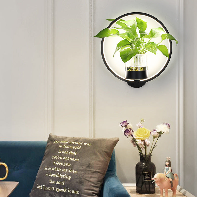 Removable glass cup and planting basket detail showing no green plants included