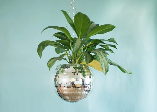 Mirror ball hanging basket with indoor plants