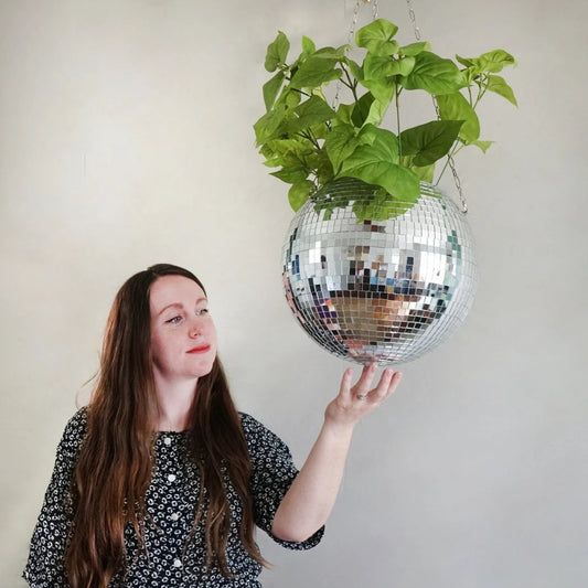 Hanging mirror ball flowerpot with green plant in garden setting