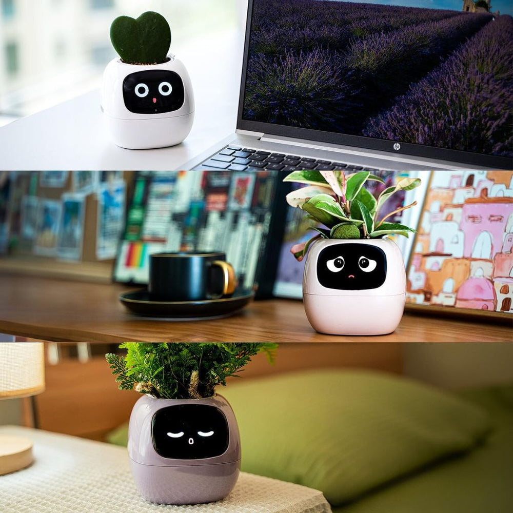 Ivy Smart Planter Endless Fun Over 49 Rich Expressions 7 Smart Sensors And AI Chips Make Raising Plants Easy And Fun