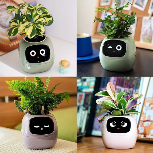 Ivy Smart Planter Endless Fun Over 49 Rich Expressions 7 Smart Sensors And AI Chips Make Raising Plants Easy And Fun