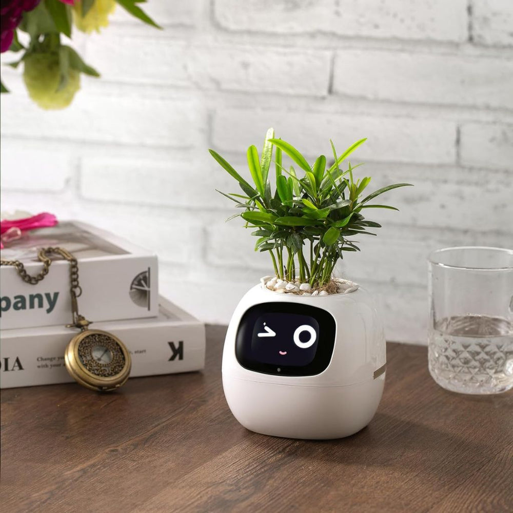 Ivy Smart Planter Endless Fun Over 49 Rich Expressions 7 Smart Sensors And AI Chips Make Raising Plants Easy And Fun