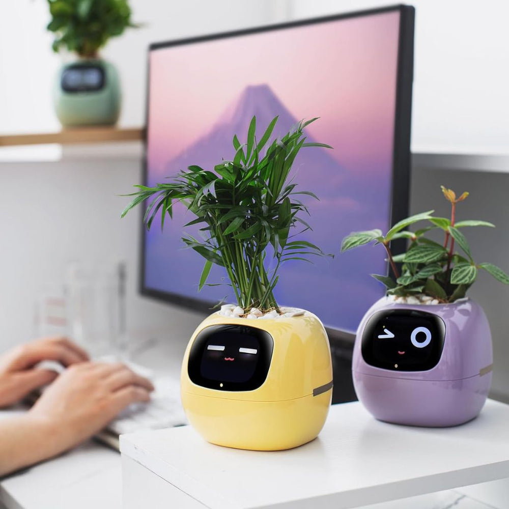 Ivy Smart Planter Endless Fun Over 49 Rich Expressions 7 Smart Sensors And AI Chips Make Raising Plants Easy And Fun