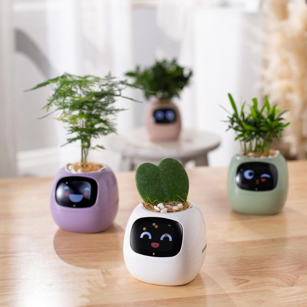 Ivy Smart Planter Endless Fun Over 49 Rich Expressions 7 Smart Sensors And AI Chips Make Raising Plants Easy And Fun