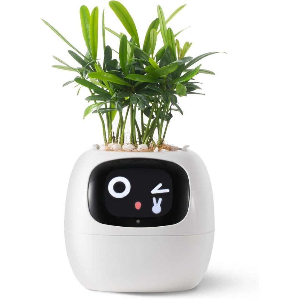 Ivy Smart Planter Endless Fun Over 49 Rich Expressions 7 Smart Sensors And AI Chips Make Raising Plants Easy And Fun