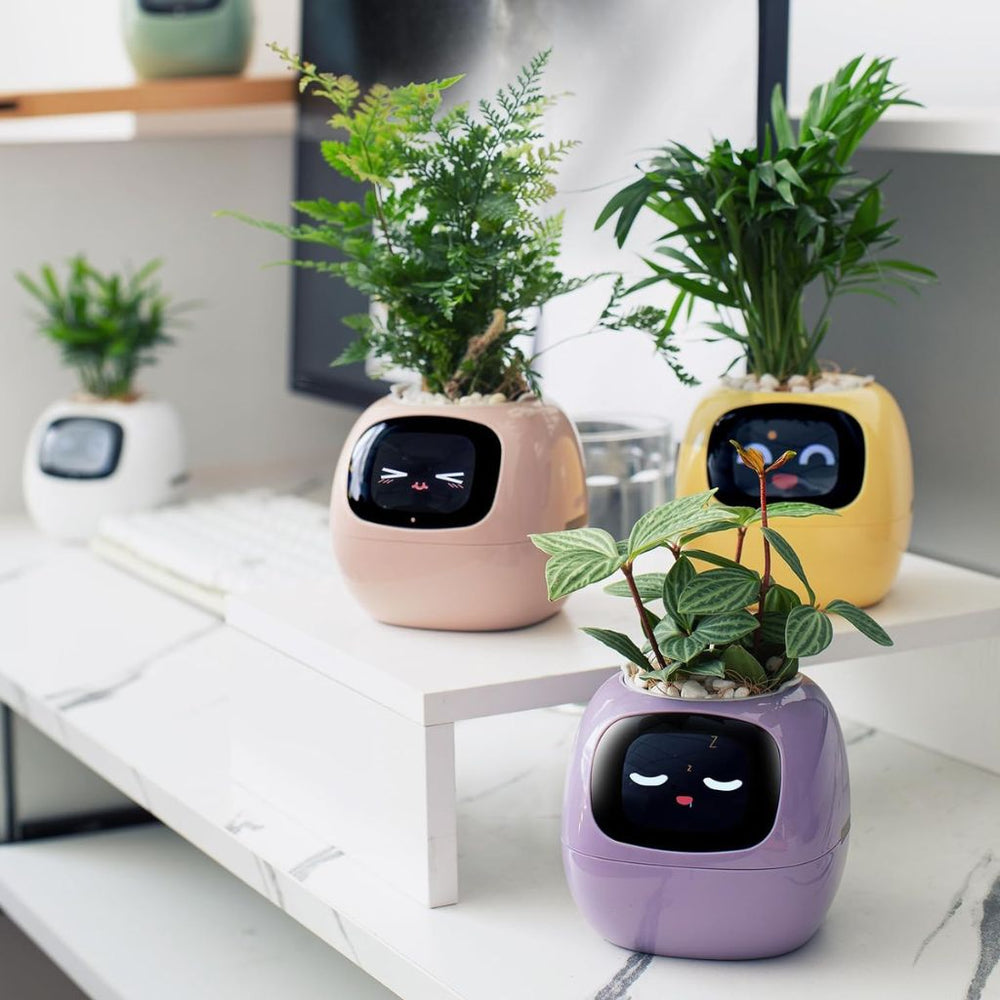 Ivy Smart Planter Endless Fun Over 49 Rich Expressions 7 Smart Sensors And AI Chips Make Raising Plants Easy And Fun