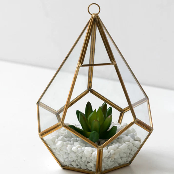 Modern indoor tabletop succulent vase in living room decor setting