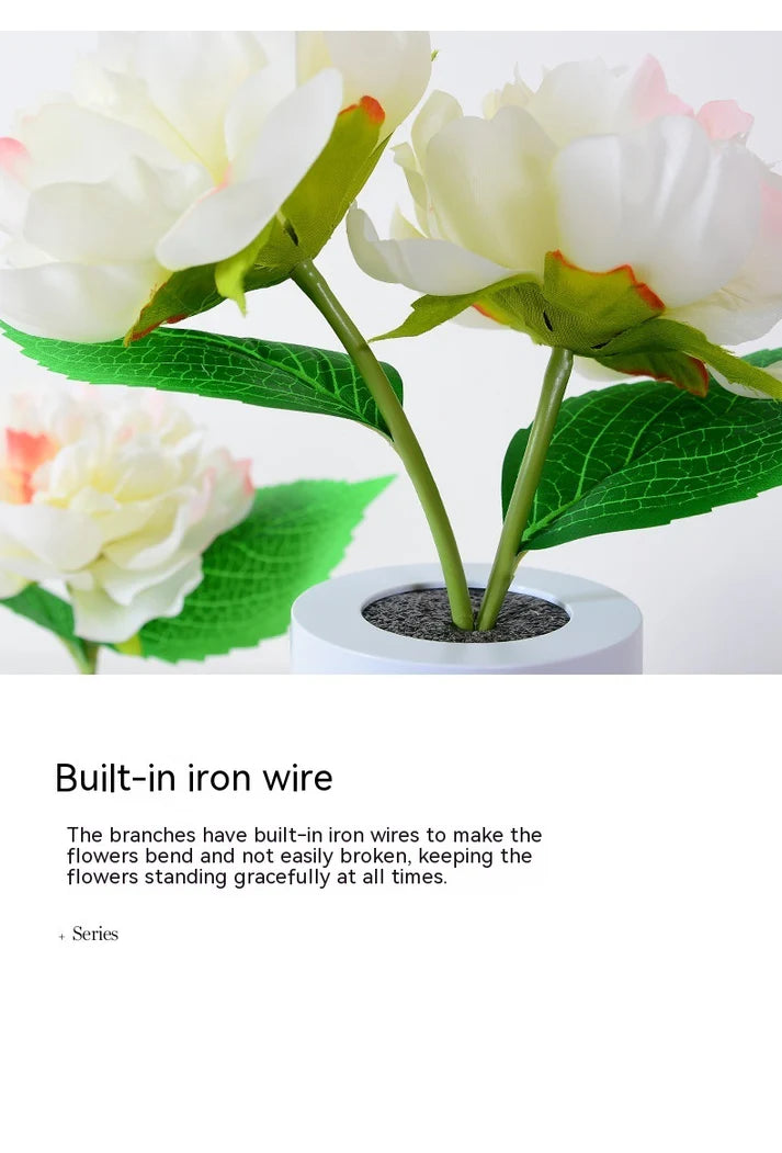 Peony flower night lamp 2 flowers warm glow on bedside table display