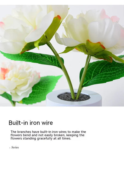 Peony flower night lamp 2 flowers warm glow on bedside table display