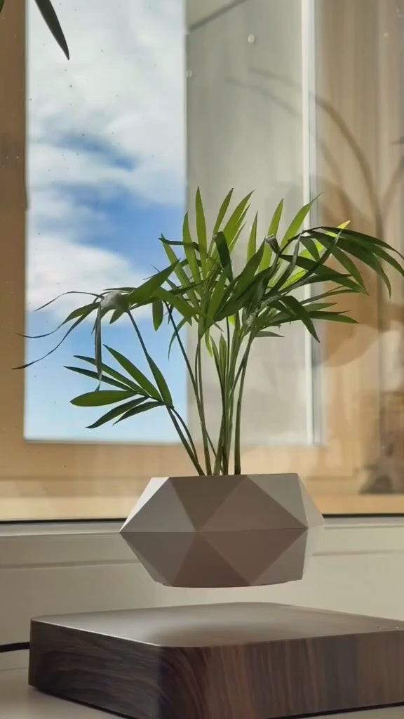 Floating magnetic levitating plant pot video demo showing rotation