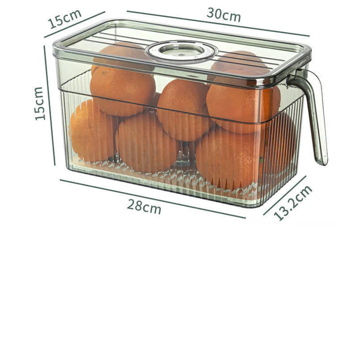 fresh-vegetable-keeper-container-leafy-greens