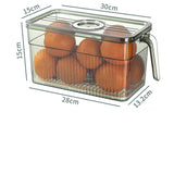 fresh-vegetable-keeper-container-leafy-greens