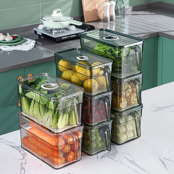 refrigerator-storage-box-fruits-vegetables-top-view