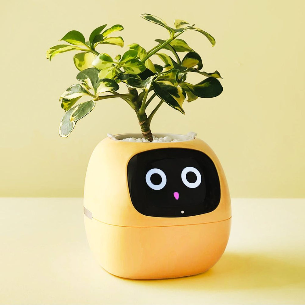 Ivy Smart Planter Endless Fun Over 49 Rich Expressions 7 Smart Sensors And AI Chips Make Raising Plants Easy And Fun