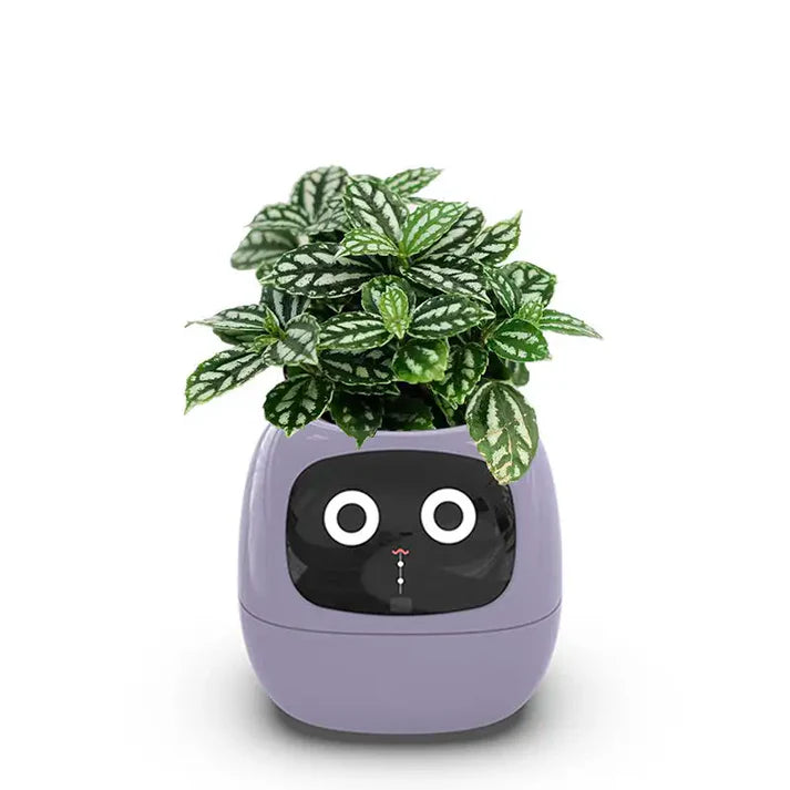 smart plant pot