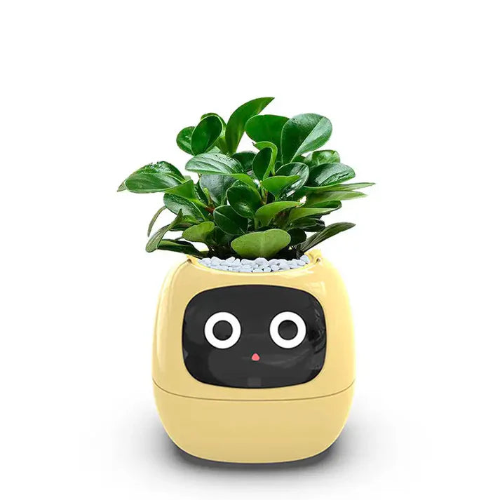 smart plant pot