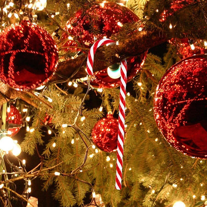 Splendas Christmas candy cane tree decoration pendants styled on outdoor holiday tree