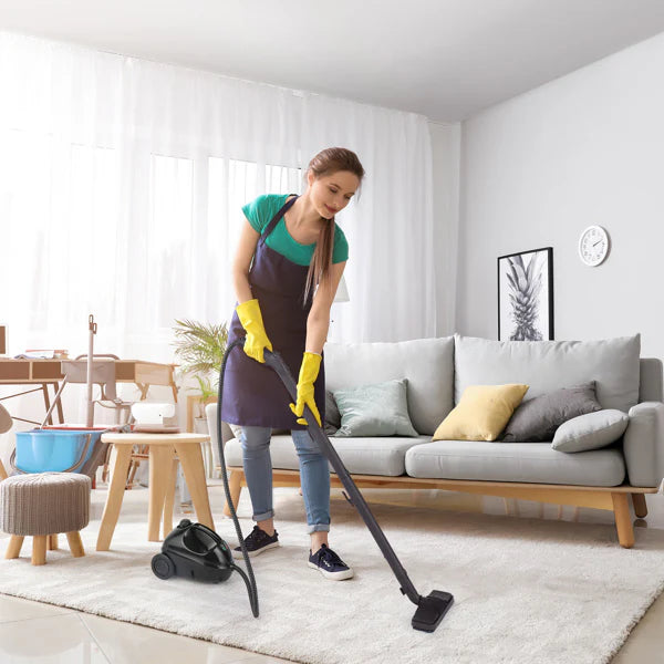 Steam cleaner 6.5 minute heat up time feature infographic