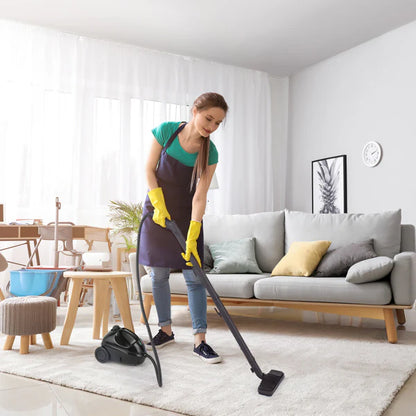 Steam cleaner 6.5 minute heat up time feature infographic